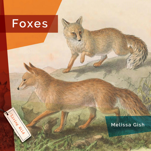 Foxes by Melissa Gish, 9781682773321