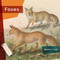 Foxes by Melissa Gish, 9781682773321