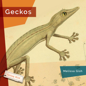 Geckos - 9781682773345 by Melissa Gish, 9781682773345