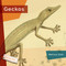Geckos - 9781682773345 by Melissa Gish, 9781682773345
