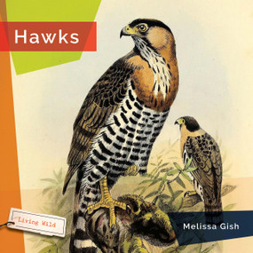 Hawks - 9781682773352 by Melissa Gish, 9781682773352