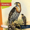 Hawks - 9781682773352 by Melissa Gish, 9781682773352