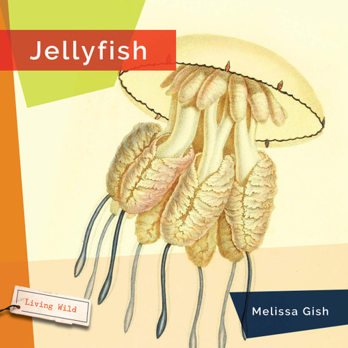 Jellyfish - 9781682773390 by Melissa Gish, 9781682773390