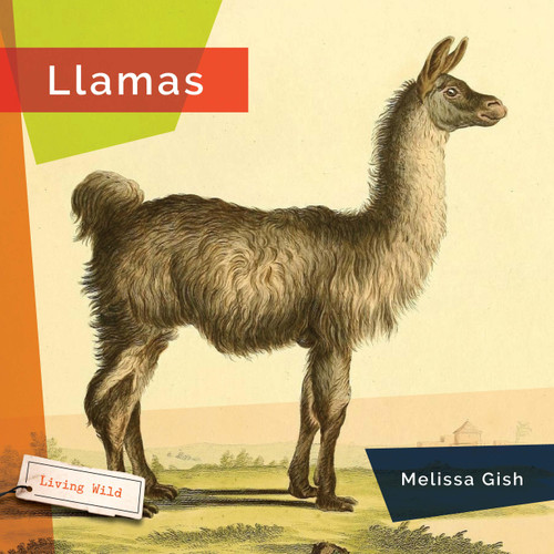 Llamas - 9781682773413 by Melissa Gish, 9781682773413