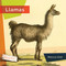 Llamas - 9781682773413 by Melissa Gish, 9781682773413