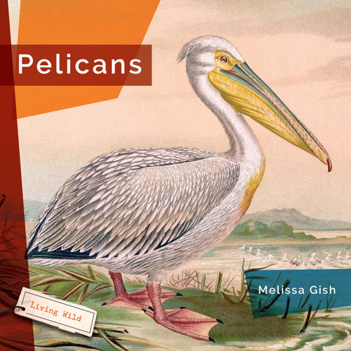 Pelicans - 9781682773475 by Melissa Gish, 9781682773475