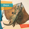 Rays - 9781682773512 by Melissa Gish, 9781682773512