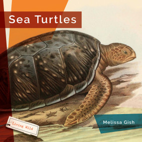 Sea Turtles - 9781682773543 by Melissa Gish, 9781682773543