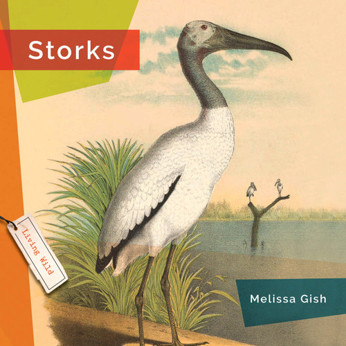 Storks - 9781682773598 by Melissa Gish, 9781682773598