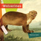 Wolverines - 9781682773635 by Melissa Gish, 9781682773635