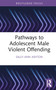 Pathways to Adolescent Male Violent Offending by Sally-Ann Ashton, 9781032186764