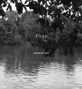 Dawoud Bey: Elegy by Dawoud Bey, Valerie Cassel Oliver, LeRonn P. Brooks, Imani Perry, Christina Sharpe, Eileen Boxer, 9781597115643