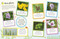 Ultimate Sticker Book Garden Pond by DK, 9780744099614