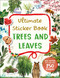 Ultimate Sticker Book Trees and Leaves by DK, 9780744099621