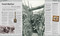 World War I (The Definitive Visual History, New Edition) by DK, 9780744098518