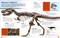 Make Your Own T. Rex (Easy to Build - No Glue, No Mess!) by DK, 9780744099638