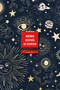Quemar después de escribir (Edición Celestial) / Burn After Writing (Celestial) (Spanish Edition) by Sharon Jones, 9788491299745