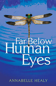 Far Below Human Eyes by Annabelle Healy, 9781631952401