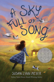 A Sky Full of Song - 9781454947868 by Susan Lynn Meyer, 9781454947868