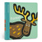 Spring Street Touch and Feel: Forest by Boxer Books, Lo Cole, 9781915801531