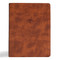 CSB Men of Character Bible, Revised and Updated, Brown LeatherTouch, Indexed by CSB Bibles by Holman, Gene A. Getz, 9798384501824