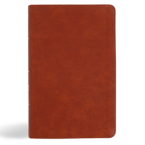 NASB Single-Column Personal Size Bible, Burnt Sienna LeatherTouch by Holman Bible Publishers, 9798384502043
