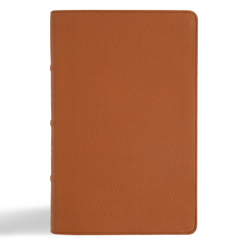 NASB Single-Column Personal Size Bible, Tan Genuine Leather by Holman Bible Publishers, 9798384502074