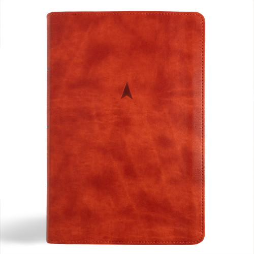 CSB Church Bible, Anglicised Edition, British Tan LeatherTouch by CSB Bibles by Holman, 9798384502203