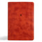 CSB Church Bible, Anglicised Edition, British Tan LeatherTouch by CSB Bibles by Holman, 9798384502203