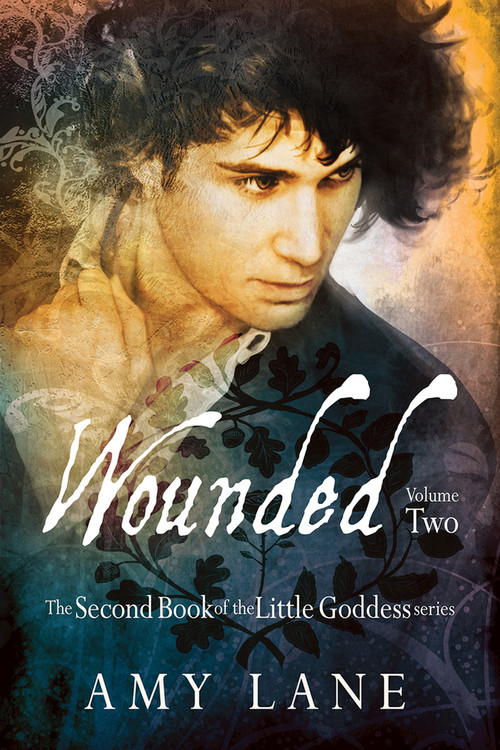 Wounded, Vol. 2 by Amy Lane, 9781634764469