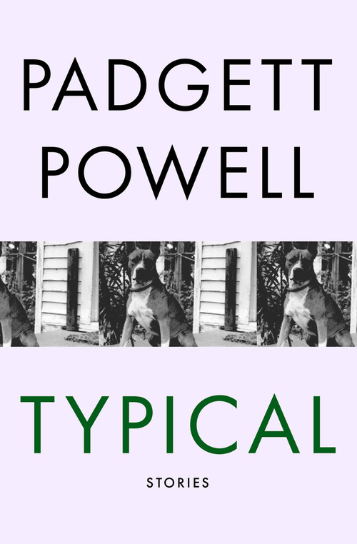 Typical (Stories) by Padgett Powell, 9781480464193
