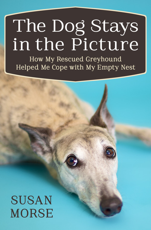 The Dog Stays in the Picture (How My Rescued Greyhound Helped Me Cope with My Empty Nest) by Susan Morse, 9781497643932