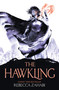 The Hawkling - 9781473234444 by Rebecca Zahabi, 9781473234444