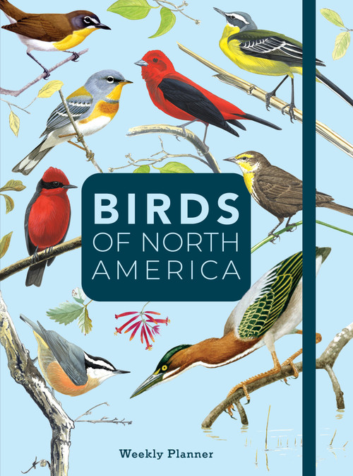 Birds of North America (Undated Weekly and Monthly Planner) by Editors of Rock Point, 9781577154167