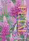 Petal (The World of Flowers Through an Artist's Eye) by Adriana Picker, 9781743799840