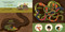 You Are a Garter Snake! by Laurie Ann Thompson, Jay Fleck, 9780593529782