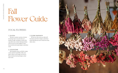 Designing with Dried Flowers (Creating Everlasting Arrangements) by Hannah Rose Rivers Muller, 9780593580981