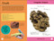 Quiz Yourself Clever! Rocks and Minerals by DK, 9780593841518