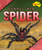 Funnel-Web Spider by Rachel Rose, 9798889165033