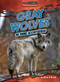 Gray Wolves in Their Ecosystems by Della O'Dowd, 9798889166351