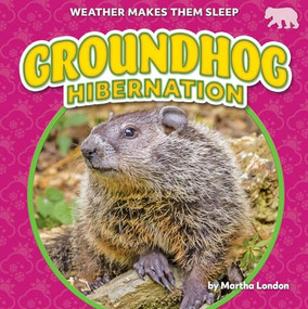 Groundhog Hibernation by Martha London, 9798889162292