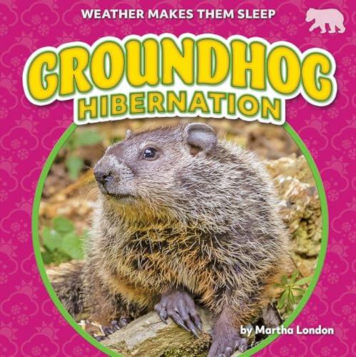 Groundhog Hibernation by Martha London, 9798889162292