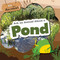 Ask an Animal About a Pond by Rebecca Phillips-Bartlett, 9781538291382