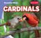 Cardinals by Bray Jacobson, 9781538292433