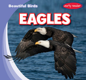 Eagles - 9781538292464 by Bray Jacobson, 9781538292464