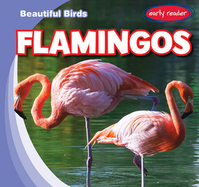 Flamingos - 9781538292501 by Bray Jacobson