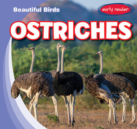 Ostriches - 9781538292525 by Bray Jacobson, 9781538292525