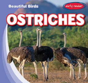 Ostriches - 9781538292532 by Bray Jacobson, 9781538292532