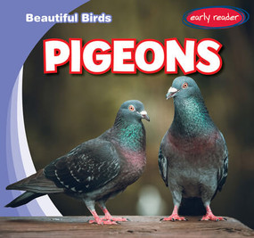 Pigeons by Bray Jacobson, 9781538292587