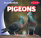 Pigeons - 9781538292594 by Bray Jacobson, 9781538292594